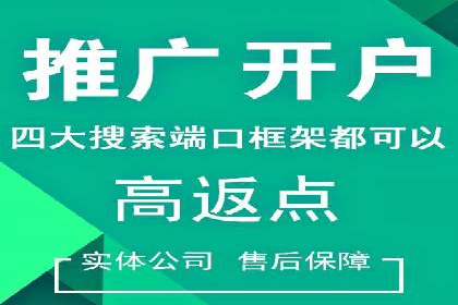 SEM代运营服务公司案例分析：提升广告效果